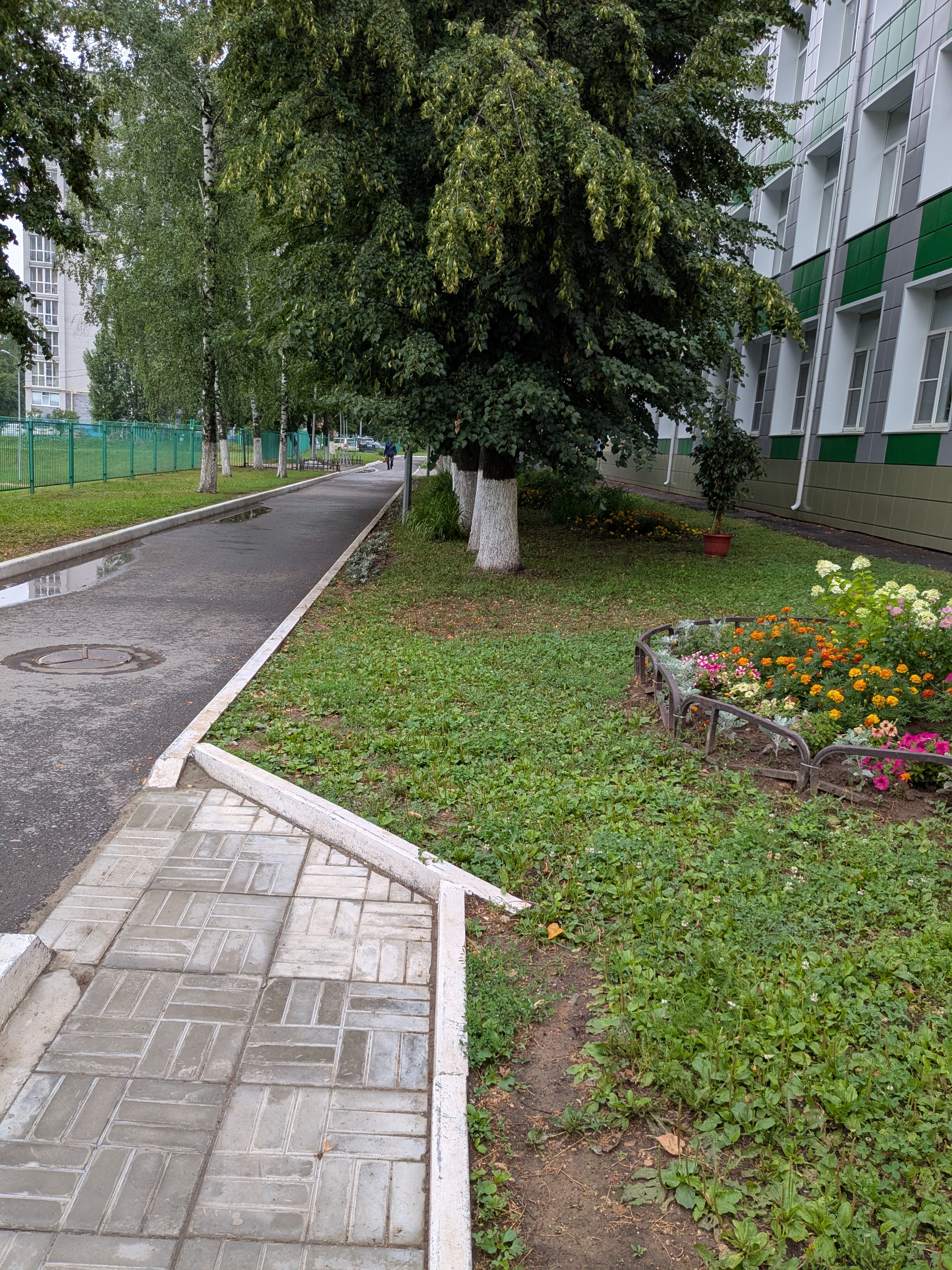 PXL 20250724 041302590
